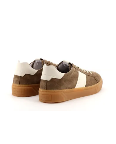 Nero Giardini Sneakers Taupe - Glamour Calzature Nero Giardini Sneakers Taupe - Glamour Calzature