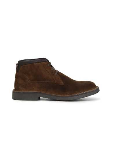 CafèNoir Polacchino Cuoio - Glamour Calzature