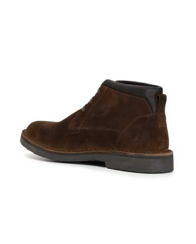 CafèNoir Polacchino Cuoio - Glamour Calzature