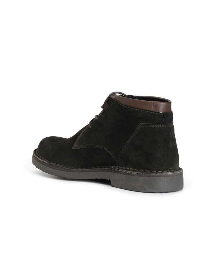 CafèNoir Polacco Verde - Glamour Calzature